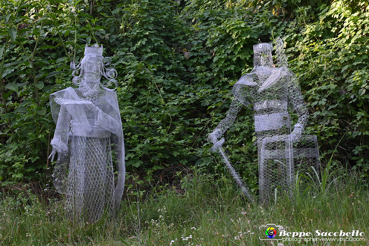 VBS_4902 - Il bosco fatato - Montaldo Roero.jpg